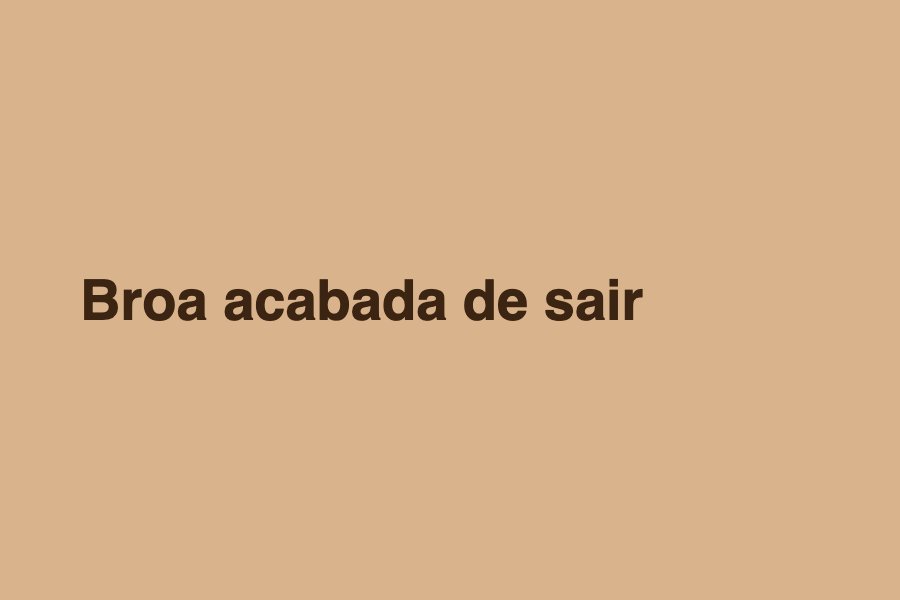 Interior da padaria com pães e broa à mostra